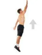 Jump Exercise